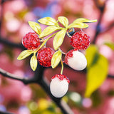 Berry Blossom Brooch: A Delicate Touch of Radiant charm. Elegant Brooch for Sophisticated Events.
