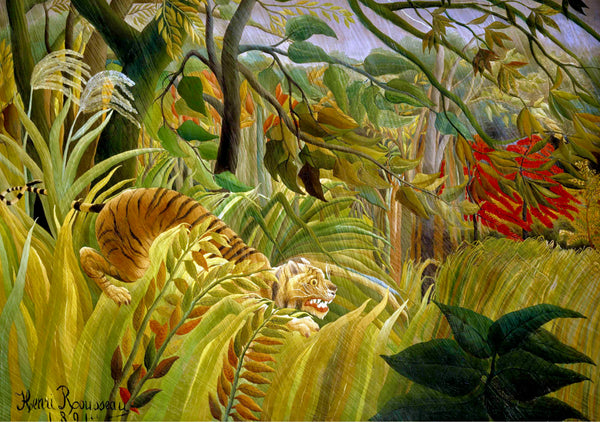 Tiger in a Tropical Storm - Painted by Henri Rousseau - Circa. 1891. High Quality Polyester Cotton Canvas. Ready to be Framed or Mounted. Available in One Large Size. 70cm X 100cm. Stretched Canvas Option Available in One (1) Large Size - 70cm x 100cm.