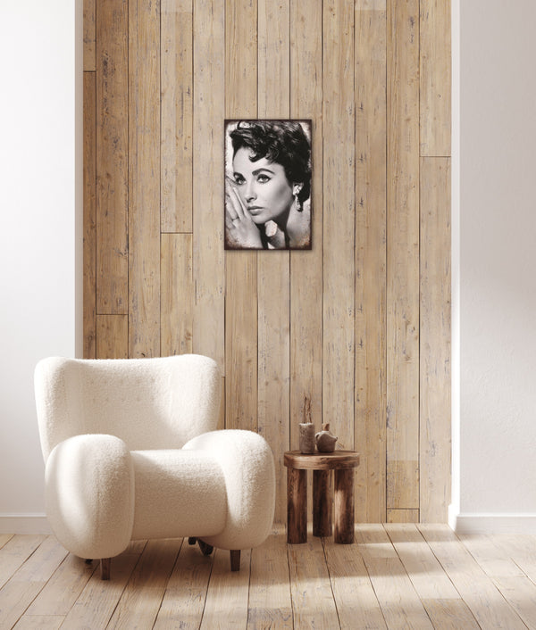 Elizabeth Taylor - Retro Metal Art Decor - Wall Mount or Free Standing on Console Table -  Two Sizes - 8'' X 12" & 12" X 16" - No. 40491