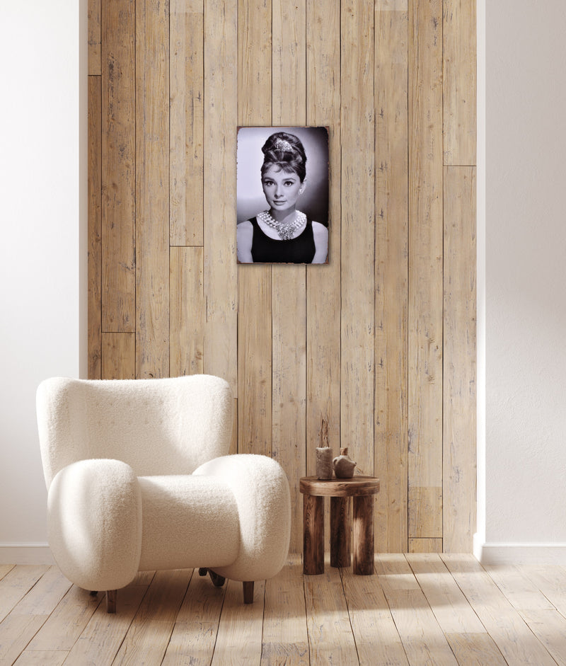 Audrey Hepburn - Retro Metal Art Decor - Wall Mount or Free Standing on Console Table -  Two Sizes - 8'' X 12" & 12" X 16" - No. 40088